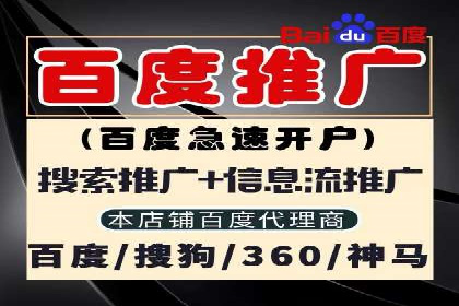 某企业利用竞价SEM提升网站流量及转化率的经验分享